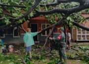Hujan Deras !!! Pohon Besar Tumbang Timpah Rumah Warga di Bandar Lampung