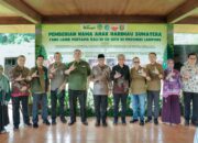 Gubernur Rahmat Mirzani Djausal Perkenalkan Anak Harimau Sumatera Bernama Puspa dan Muli Sikop di Taman Satwa Lembah Hijau, Minimnya Populasi Membuat Konservasi Satwa Liar Kian Mendesak 