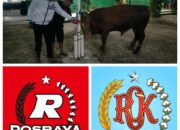 Gubernur Mirza Salurkan Bantuan Kurban ke Ponpes Mahmudah Lewat PosRaya dan Relawan Orang Kampung