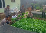Dukung Ketahanan Pangan, Ditbinmas Polda Lampung Asistensi Program Pekarangan Bergizi di Lampung Utara