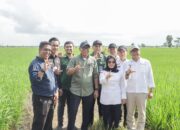 Pemprov Lampung Perkuat Dukungan untuk Petani, dari Teknologi hingga Pengendalian Hama