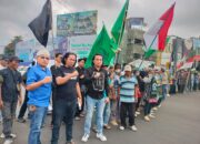 Pembangunan Tower, Jalan Beton, dan Land Clearing di TNWK Dipersoalkan, Merusak Ekosistem Serta Mengancam Satwa