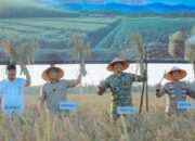 Gubernur Lampung dan Pangdam XXI/Radin Inten Ikuti Panen Raya TNI Serentak, Dukung Swasembada Pangan Nasional