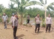 Polres Lampung Utara Cek Kesiapan Lahan Tanam Raya Jagung Serentak Kuartal III Tahun 2026