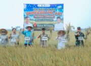 Pemprov Lampung-Kementan Kolaborasi Perluas Pertanian Modern, PHC dan PM-AAS Dongkrak Panen Demfarm Capai Lebih Dari 11 Ton per Hektare 