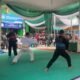 Tunjukan Ketangguhan, Prajurit Yonif 7 Marinir Juarai Kejuaraan Pencak Silat PDM Kota Bandar Lampung