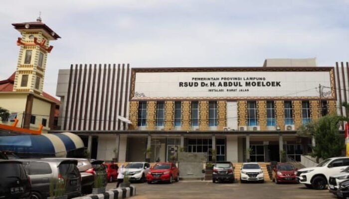 BPK Soroti Pengadaan Genset Rp4,75 Miliar di RSUD Abdul Moeloek, Diduga Tak Efisien