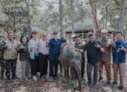 Pemprov Lampung Dorong Keseimbangan Konservasi Gajah dan Aktivitas Masyarakat