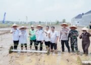 Pemprov Lampung Perkuat Pertanian Modern untuk Tingkatkan Produktivitas dan Pendapatan Petani