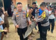 Polisi Bersama Damkar Evakuasi Buaya yang Diamankan Warga di Kotabumi Ilir