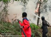 Dua Titik Karhutla di Tulang Bawang dan Lamteng Terkendali, BPBD Sampaikan Pesan Gubernur: Tingkatkan Kewaspadaan Karhutla