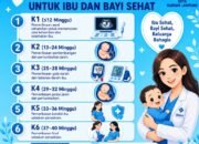 Ibu Hamil Jangan Lewatkan 6 Kali Pemeriksaan Kehamilan